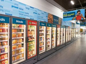 Supporting image for story: Poundland extends frozen offer