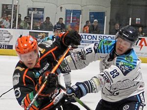 Supporting image for story: Tom Watkins insists Telford Tigers must be more ruthless