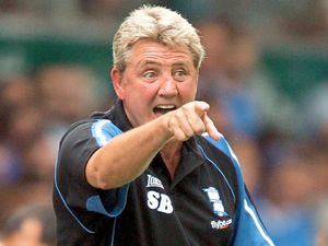 Supporting image for story: Comment: Steve Bruce is a solid choice for West Brom and CV deserves respect
