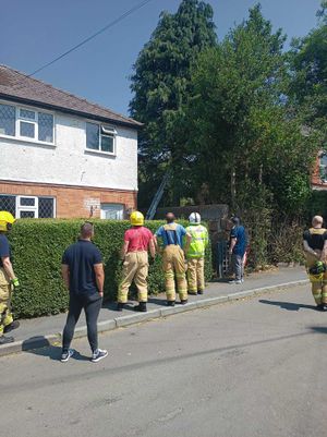 Firefighters deciding on a plan to get Smokey down. photo Peter Bryan