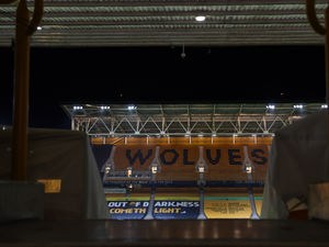 Supporting image for story: Wolves Fans’ Parliament chairman quits a week into role