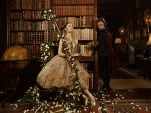 Supporting image for story: Beauty, ballet and the beast in Birmingham