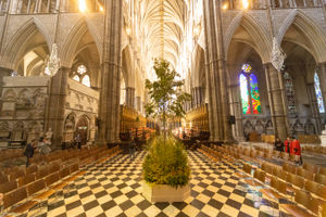 The sapling at the Arboretum was blessed at Westminster Abbey last year