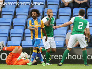 Supporting image for story: Shrewsbury Town 1 Hibernian 4 - Report and pictures