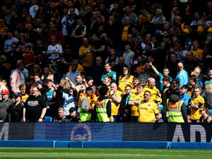 Supporting image for story: Wolves increase match ticket prices at Molineux 