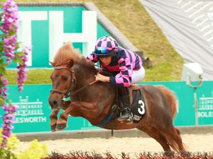 Supporting image for story: 'Grand' ambitions for teen Henry as he prepares to compete in prestigious pony events