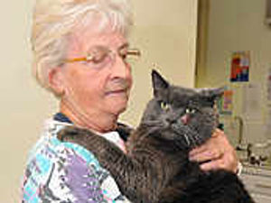 Supporting image for story: Monster moggy gets diet paws for thought