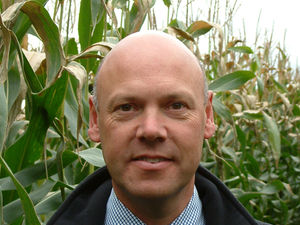 Supporting image for story: Pay close attention to maize crop nutrition to reap rewards at harvest