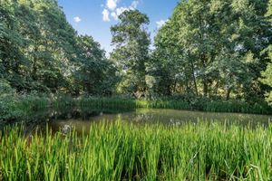 Picture: Strutt & Parker - Ludlow/Zoopla