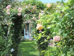 Supporting image for story: Go through the garden gate at Newport in Bloom event