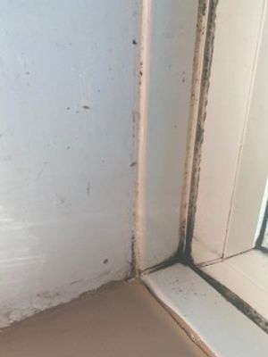 Mould in the property