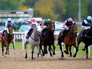 Supporting image for story: Wolverhampton Racecourse galloping ahead with stables for 100 horses