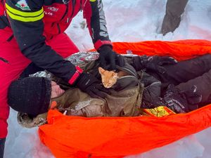 Supporting image for story: Ukrainian man fleeing war rescued with his kitten on journey through Romania