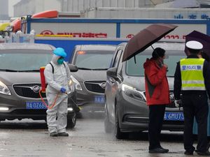 Supporting image for story: WHO team visits Wuhan food market as part of coronavirus investigation