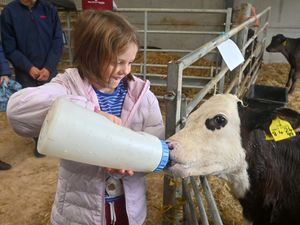 Supporting image for story: Revealed – visitor numbers up as Open Farm Sunday sets new benchmark 