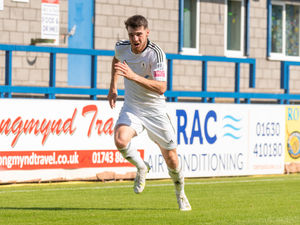 Supporting image for story: Harry Bower's stunner out at loan away from AFC Telford United