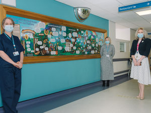 Supporting image for story: Pandemic impact study transformed into stunning artwork at Shropshire hospital 