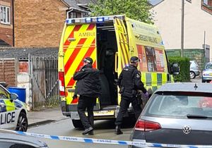 Two people were injured in the dramatic incident. Photo: Matt Higgins