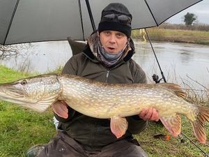 Supporting image for story: ‘If you knew what was lurking in the water you’d keep an eye on your dogs’ - Angler’s warning as he pulls monster fish from Shrewsbury river