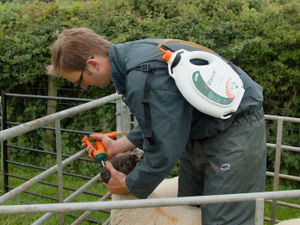 Supporting image for story: Farming talk: Prepare to use a group four wormer this season