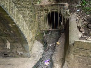 Supporting image for story: Water firms’ environmental performance sinks as serious pollution cases up 60%