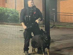 Supporting image for story: Canine cops help catch alleged criminals in Shropshire