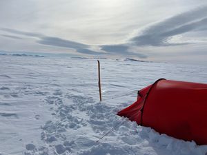 The landscape faced on Wendy's journey