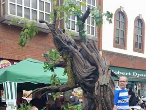 Supporting image for story: Sutton Coldfield Farmers Market returns with tree-mendous attraction
