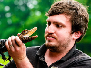 Supporting image for story: Hoo Farm bosses say animal care comes first