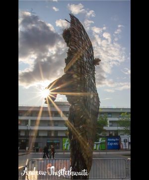 Supporting image for story