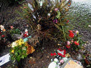 Supporting image for story: Vandals wreck memorial