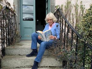 Supporting image for story