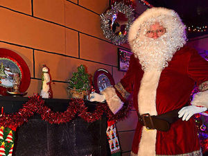 Supporting image for story: Traditional Christmas at Sandwell Park Farm