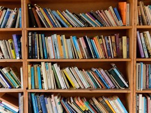 Supporting image for story