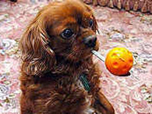 Supporting image for story: The week in pictures