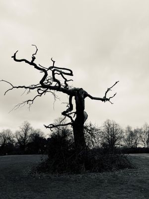 Chloe Simmons' picture 