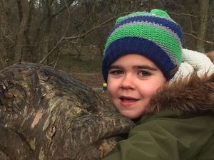 Supporting image for story