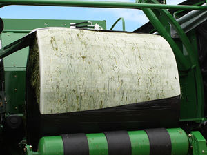 Supporting image for story: Berry Global starts roadshow initiative at LAMMA