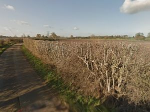 Supporting image for story: Polytunnels for soft fruit production granted retrospective permission to stay