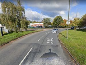 Supporting image for story: Woman, 27, taken to hospital after car crashes into trees in early hours