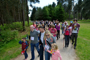 Charity walkers on Cannock Chase