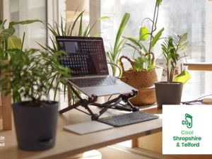 Supporting image for story: Telford businesses offered sustainability help