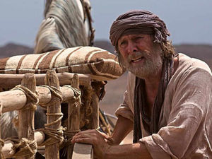 Supporting image for story: Peter Rhodes: An Ark built of what?