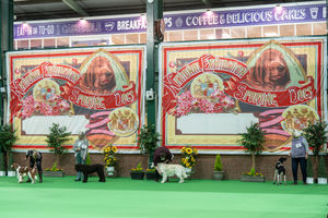 Birmingham National Dog Show 2025. Photo: Ian Knight/Z70 Photography