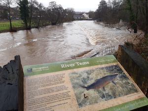 Supporting image for story: Watch: Parts of south Shropshire nature reserve under water amid rising river levels following snow melt