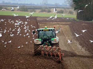 Supporting image for story: Row over changes to farming inheritance tax: key questions answered