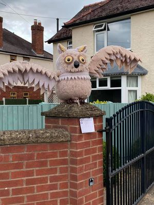 White Haynes ( The owl )