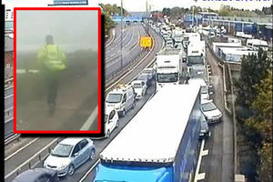 Drivers were forced to wait on the motorway while police tried to catch the dog