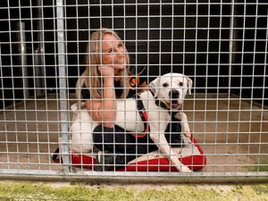 Supporting image for story: Shropshire woman to spend up to 36 hours locked in a dog kennel for rescue fundraiser