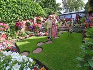 Supporting image for story: 'Begonias are my favourites' says owner of jam-packed prize-winning garden